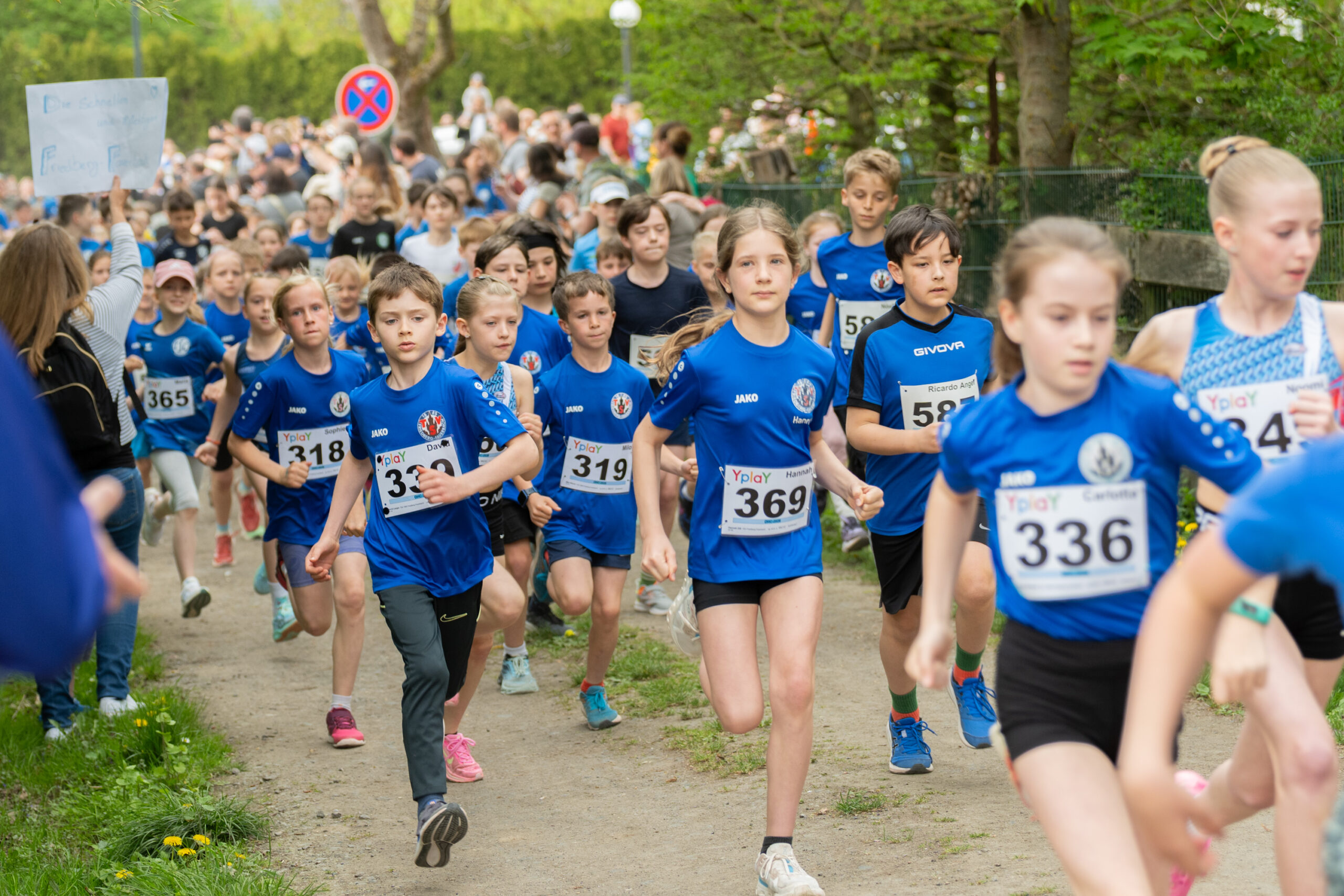 Titelbild - Steinfurth Wettertallauf